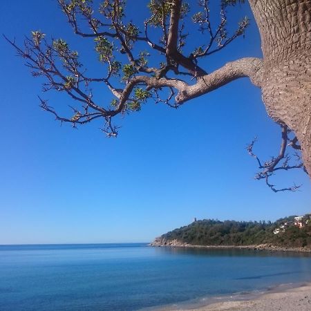 Un Po Di Relax A Pochi Passi Dal Mare! Apartman Àrbatax Kültér fotó