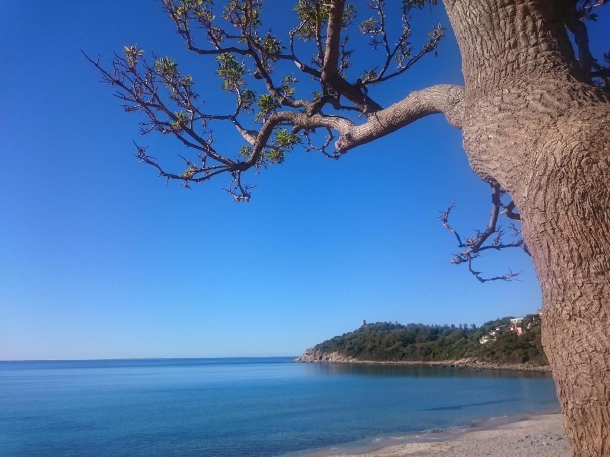 Un Po Di Relax A Pochi Passi Dal Mare! Apartman Àrbatax Kültér fotó