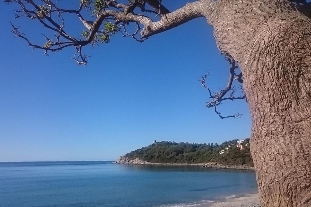 Un Po Di Relax A Pochi Passi Dal Mare! Apartman Àrbatax Kültér fotó